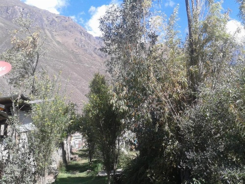 Casa Quechua Hostel Camping image 21