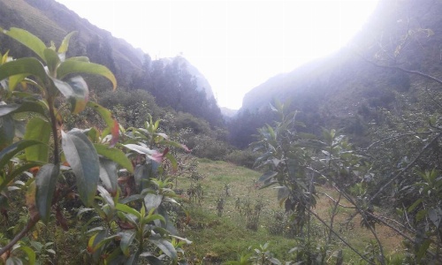 Casa Quechua Hostel Camping image 26