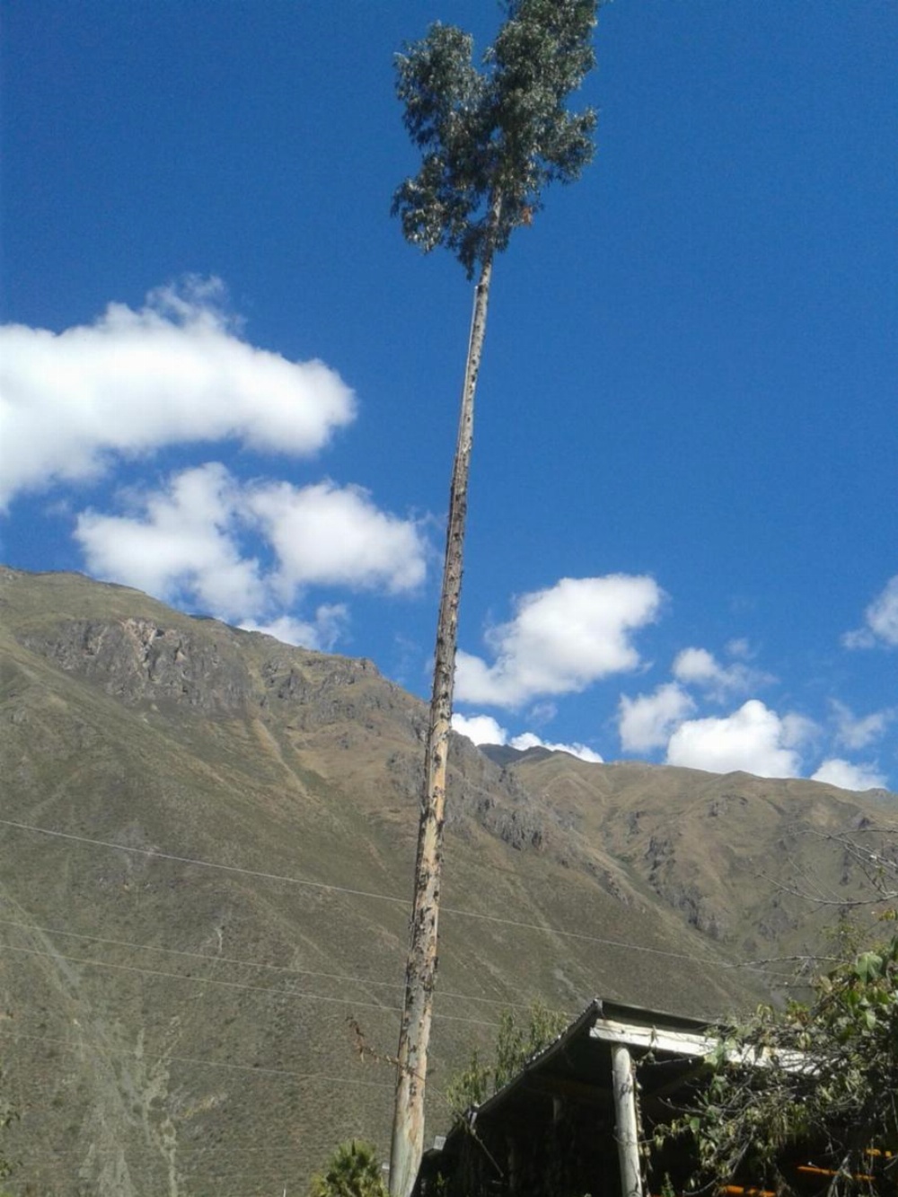 Casa Quechua Hostel Camping